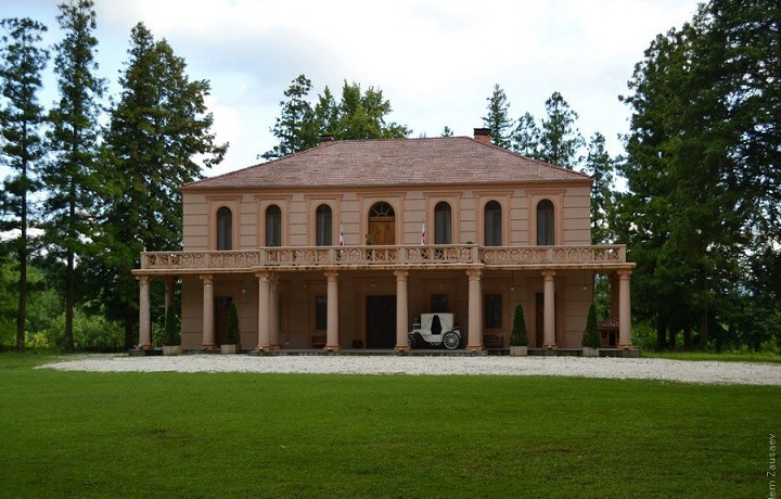 Salkhino palace
