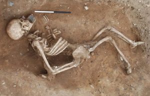 Bones of giants found in Borjomi gorge