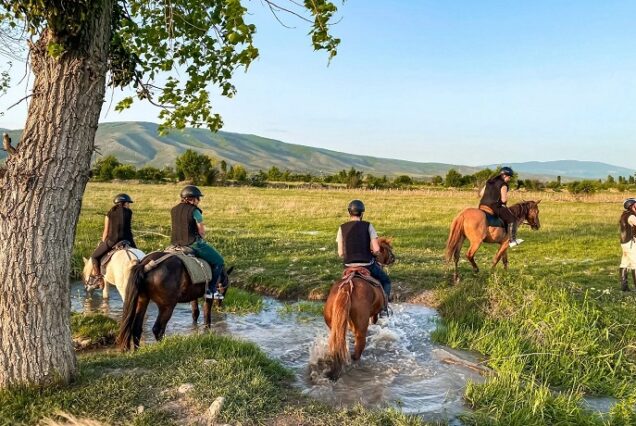Horseback tour  in Pankisi